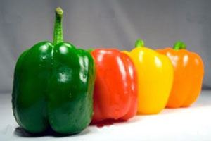 خوراکی هایی که آب بدن را تامین می کند