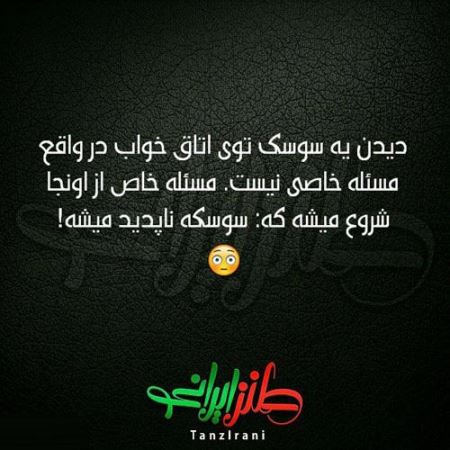 عکس نوشته های طنز و خنده دار (11)